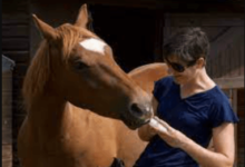 The Excitement and Nuance of Horse Riding Commentary: A Complete Guide