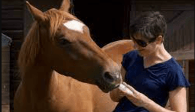 The Excitement and Nuance of Horse Riding Commentary: A Complete Guide