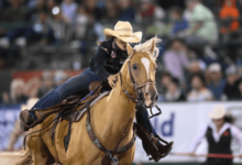 What Are the Main Judging Criteria in Barrel Racing Competitions?