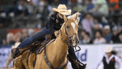 What Are the Main Judging Criteria in Barrel Racing Competitions?