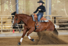 What Is the Significance of the Sliding Stop in Reining?