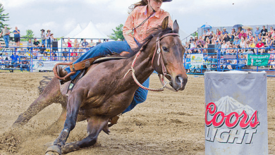 What Is the Pattern for Barrel Racing?