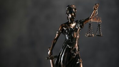 legal code interpretation inquiry