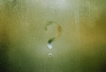 toquitosplamose meaning and implications