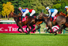 Turf Sprints and Betting Angles: Monmouth Park’s Handicaps