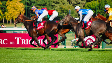 Turf Sprints and Betting Angles: Monmouth Park’s Handicaps