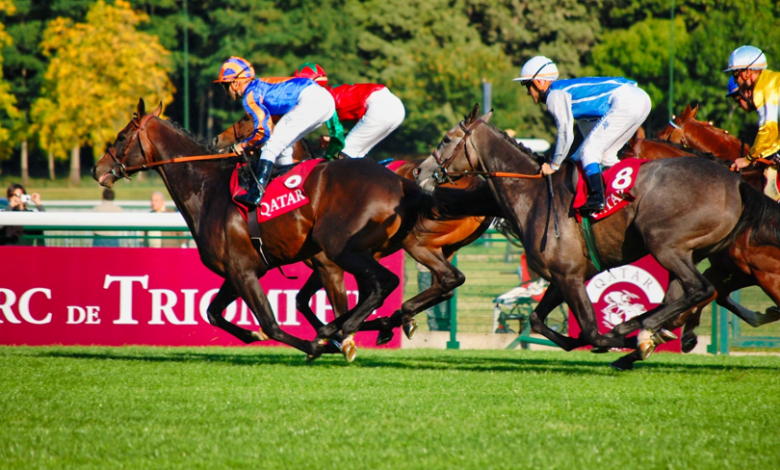 Turf Sprints and Betting Angles: Monmouth Park’s Handicaps