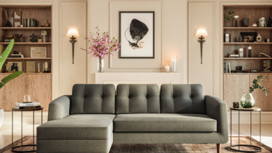 Sofa Cum Bed the Ultimate Space-Saving Solution for Comfort and Functionality?
