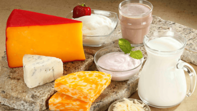 The Role of Dairy Ingredients in Modern Food Culture