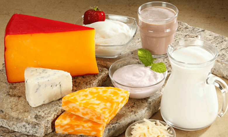 The Role of Dairy Ingredients in Modern Food Culture