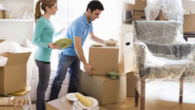 Why You Should Hire Professional Removalists for a Stress-Free Move