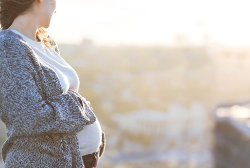 Pregnancy & Air Pollution Risks (Effects of air pollution on placenta health and fetal development)