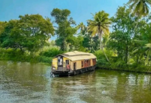 Discover Tranquility: Why Kerala Backwaters Are a Perfect Wellness Getaway