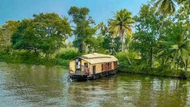 Discover Tranquility: Why Kerala Backwaters Are a Perfect Wellness Getaway