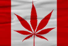 The Green Revolution of Dispensary Cannabis