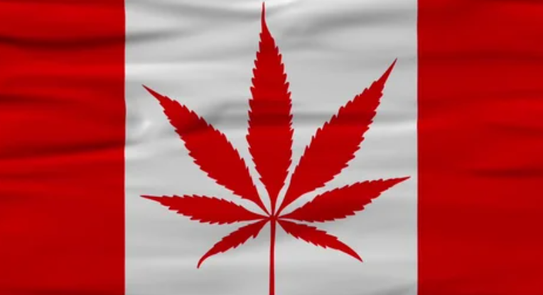 The Green Revolution of Dispensary Cannabis