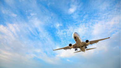 Best Time to Book Tampa → Hyderabad and Lock in Low Fares 