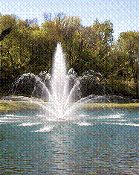 Working with a Fountain Tech Company: A Complete Guide for Property Owners