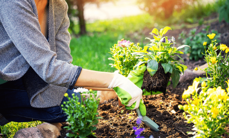 Managing Weed Growth in Landscaped and Built Areas