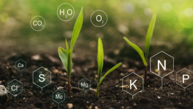 Strengthening Agricultural Productivity Through Biological Nutrient Solutions
