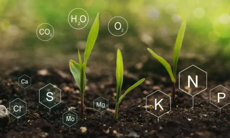 Strengthening Agricultural Productivity Through Biological Nutrient Solutions