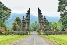 What Makes Flamingo Transworld’s Bali Tours Truly Different from Regular Packages?