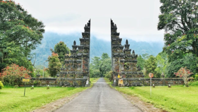 What Makes Flamingo Transworld’s Bali Tours Truly Different from Regular Packages?