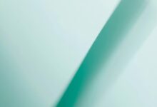 apex vector neural wave