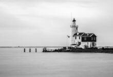 brand builder and lighthouse success