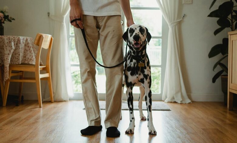 caller legitimacy concerns for 9512237966