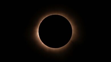 eclipse surge 910889403 revenue