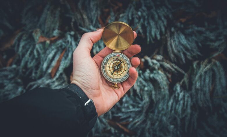 marketing growth compass theme