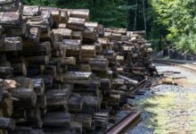 network tracking tied to 3478435466863762 and feedback logs