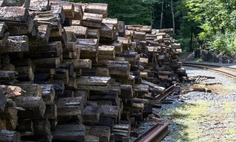 network tracking tied to 3478435466863762 and feedback logs