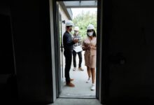 optimal builder 628200639 market influence