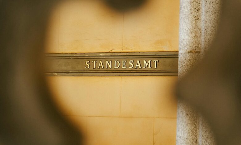 professional registry and overview summary