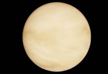 radiant orbit market path