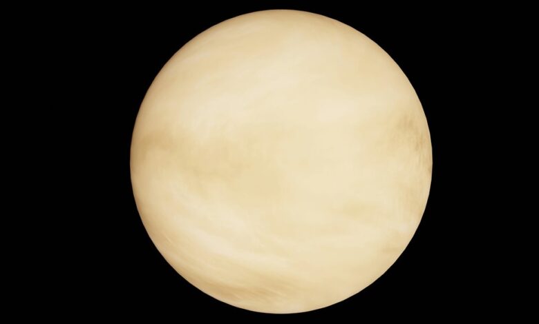 radiant orbit market path