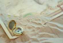 seo pathfinder branding and marketing apex