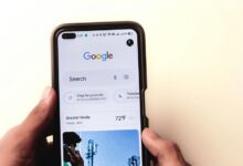 signal guide startup trusted contact search