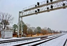 signal portal startup reveals caller trace insights