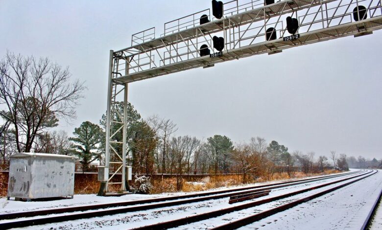 signal portal startup reveals caller trace insights