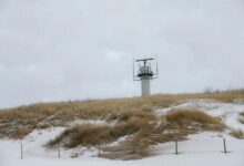 signal radar start 833 586 3698 revealing