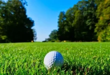 US Open 2026 Odds: Top Contenders at Shinnecock Hills