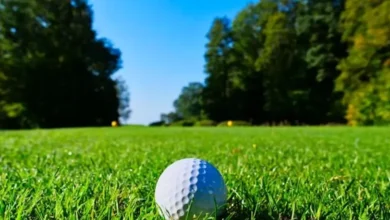 US Open 2026 Odds: Top Contenders at Shinnecock Hills