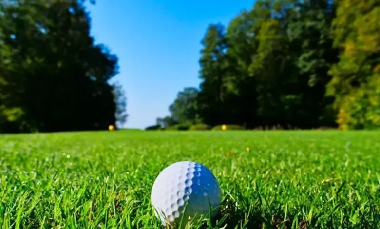 US Open 2026 Odds: Top Contenders at Shinnecock Hills