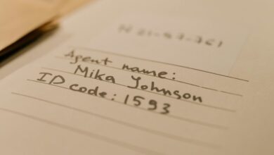 advanced record inspection identifiers and numbers