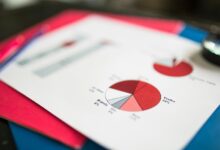 data verification report identifiers and contacts