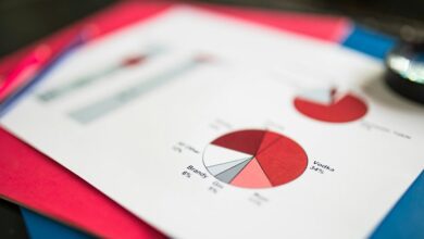 data verification report identifiers and contacts