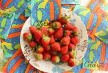 fruteleteur ids and websites